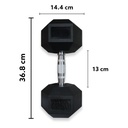 Infinité Par de Mancuernas Hexagonales 20 Kg IF-HK20
