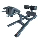 Infinité Banco de Hiper-extensiones o Espalda Baja/Silla Romana a 45° IF-FF45