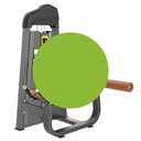 Infinité Prone Leg Curl IF-F01