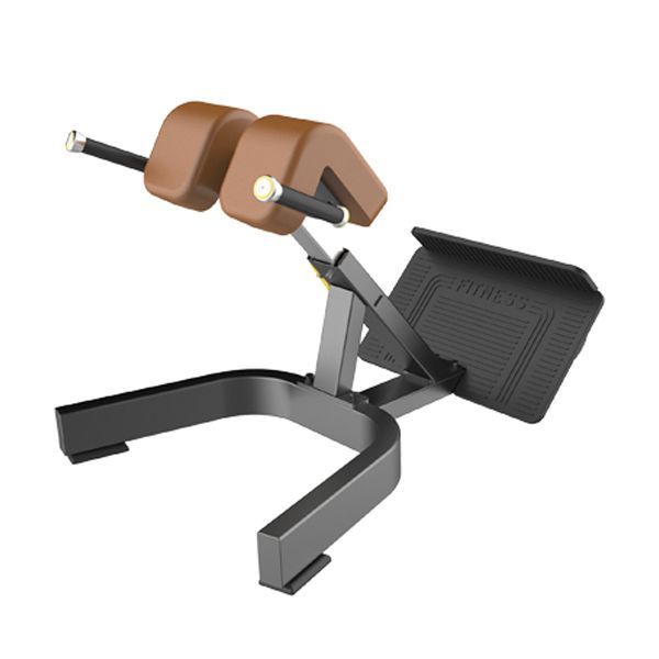 Infinité Banco de Hiper-extensiones o Espalda Baja/Silla Romana a 45° IF-F45